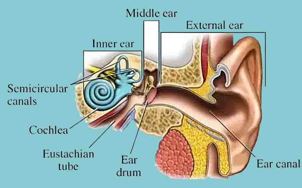 Pulsatile Tinnitus